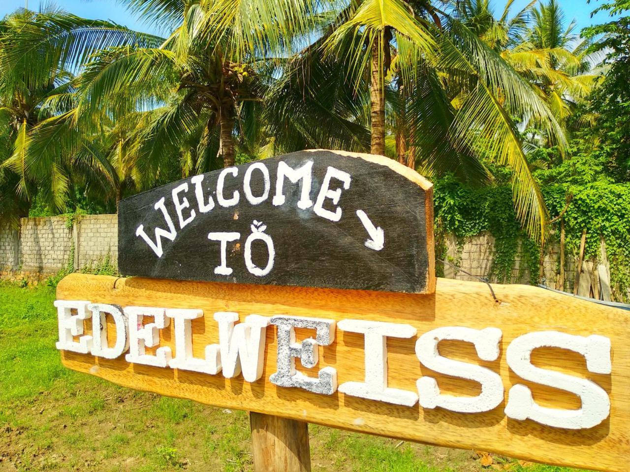 Edelweiss Homestay Kuta  외부 사진