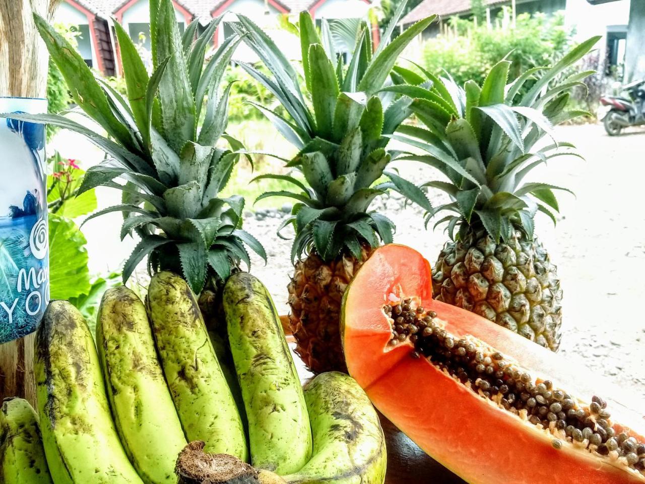 Edelweiss Homestay Kuta  외부 사진